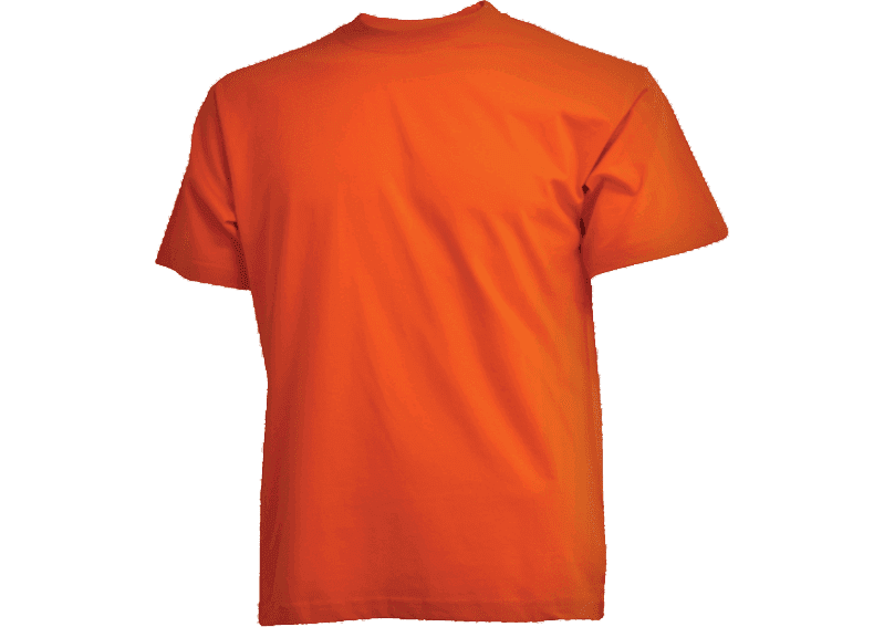 Orange Camus t-shirt-0