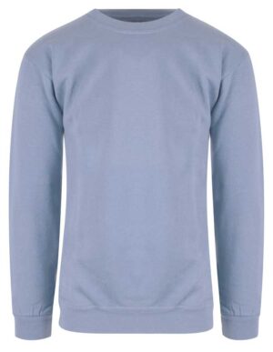 lysblå sweatshirt